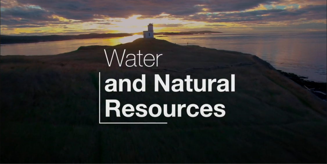 Water and Natural Resources: Stormwater Heatmap